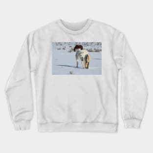 Wild horses, Arizona, nature, wildlife, gifts Crewneck Sweatshirt